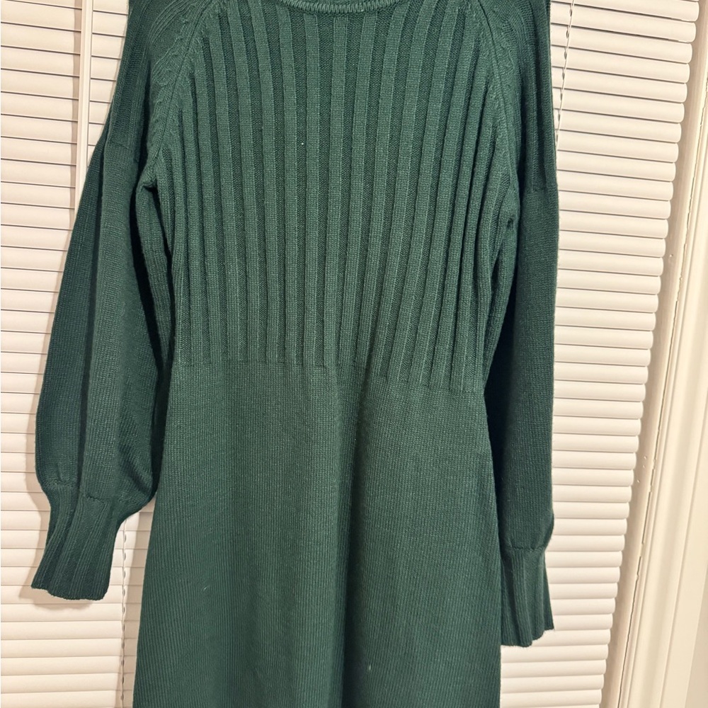 Calvin Klein Collection Forest Green Long Sleeve Dress